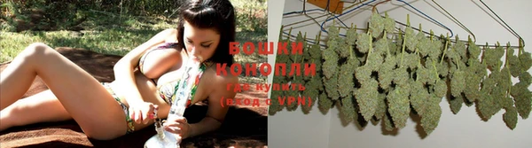 бошки Бронницы