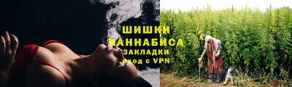 стафф Бородино