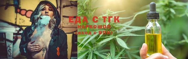 стафф Бородино