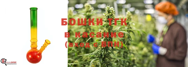 стафф Бородино