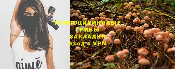 стафф Бородино