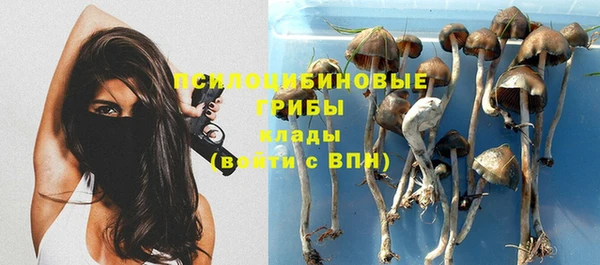 стафф Бородино