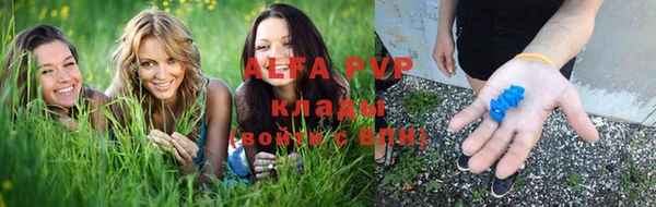 бошки Бронницы